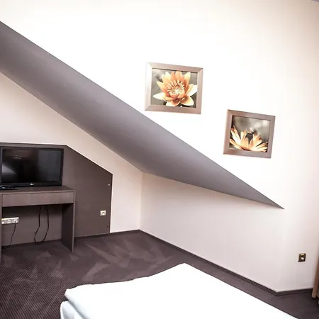 מלון Sokolowska Airport Modlin 3*